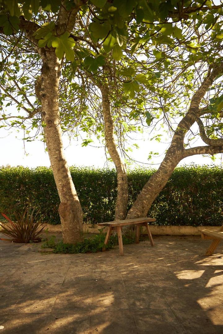 Quinta Do Marmeleiro - Casa Marmeleiro Vila Santiago do Cacém Exterior foto