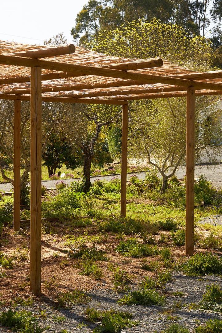 Quinta Do Marmeleiro - Casa Marmeleiro Vila Santiago do Cacém Exterior foto