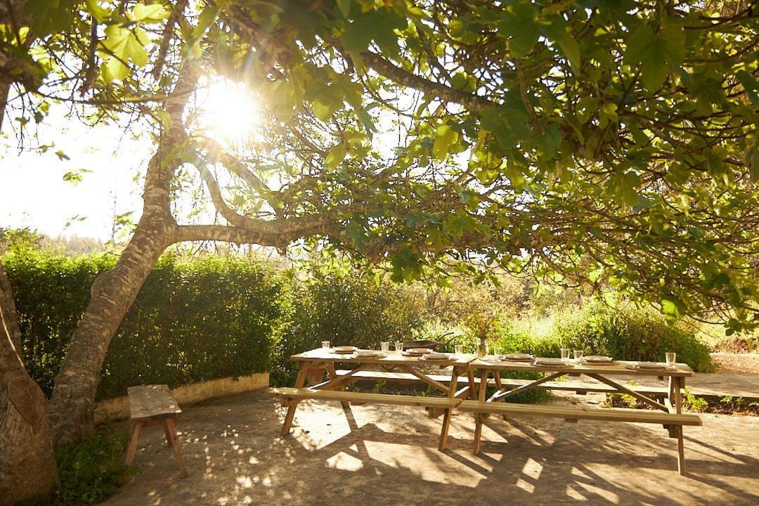 Quinta Do Marmeleiro - Casa Marmeleiro Vila Santiago do Cacém Exterior foto